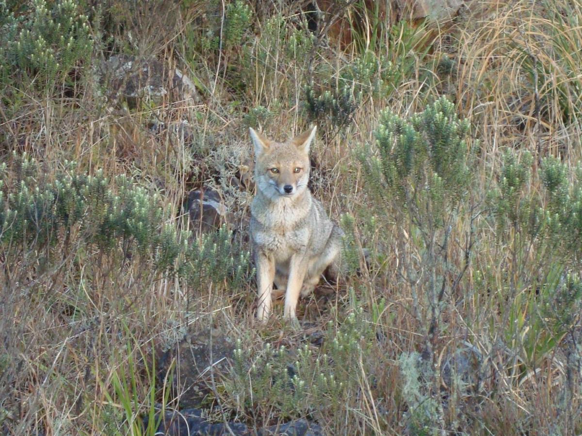 Pousada Kaluana ウルビシ エクステリア 写真